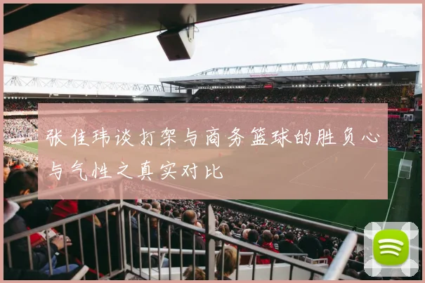 张佳玮谈打架与商务篮球的胜负心与气性之真实对比