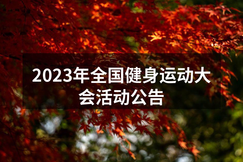 全国健身运动大会现场热烈气氛