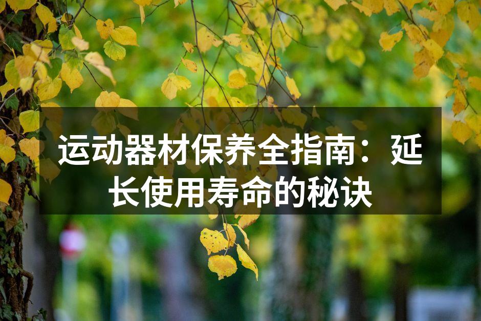 运动器材定期保养是延长其使用寿命的关键